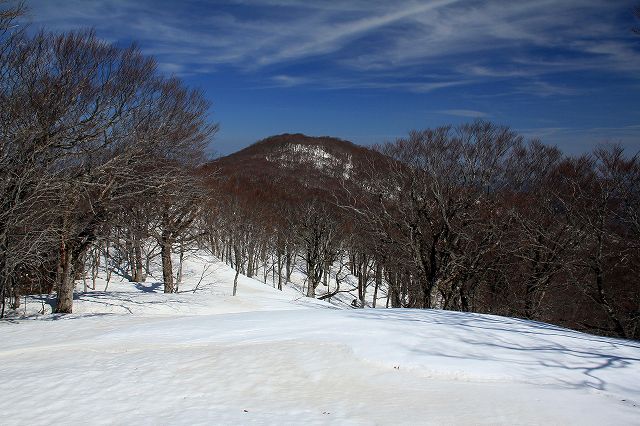 e0137200_20123346.jpg