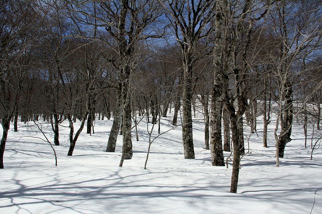e0137200_2012414.jpg