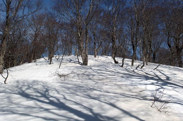 e0137200_2013131.jpg