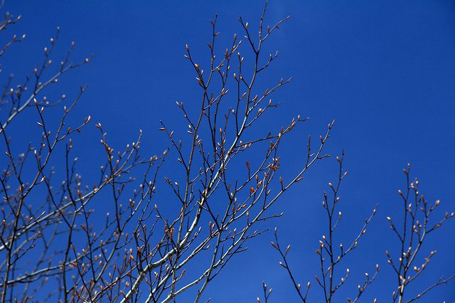 e0137200_2013345.jpg