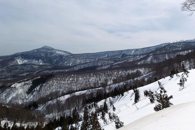 e0137200_20134734.jpg