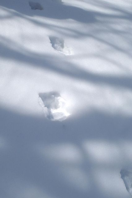 e0137200_20142290.jpg