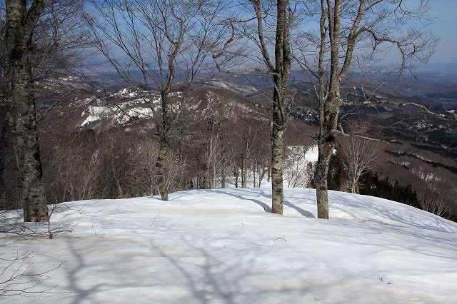 e0137200_20143464.jpg