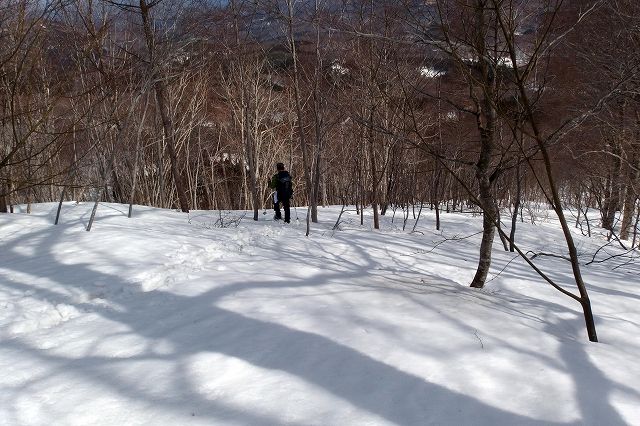 e0137200_20144457.jpg