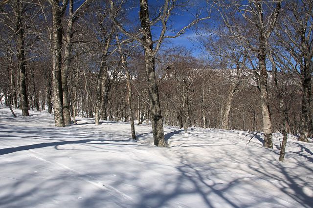e0137200_2082864.jpg
