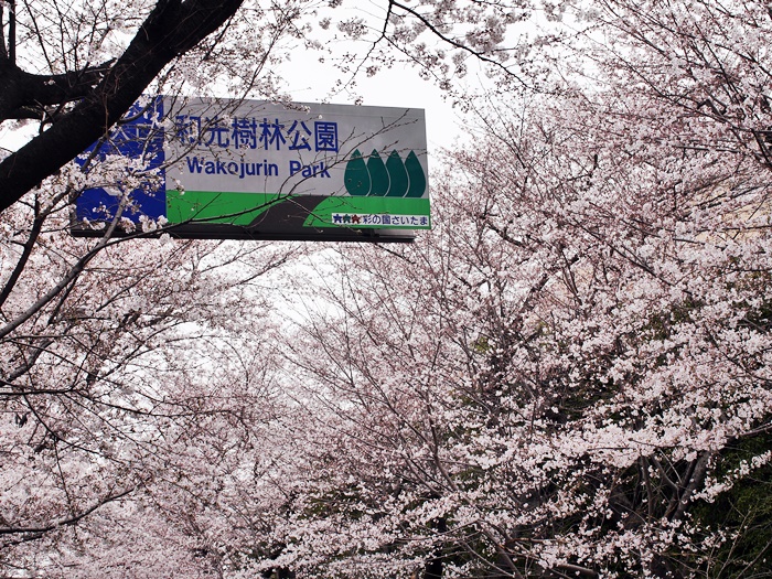 c0187503_2017202.jpg