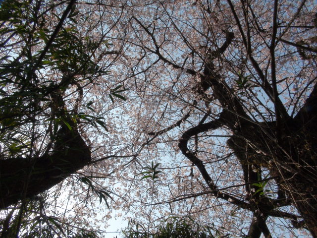 f0231709_2126987.jpg