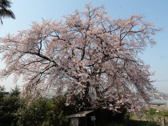 f0231709_2152943.jpg