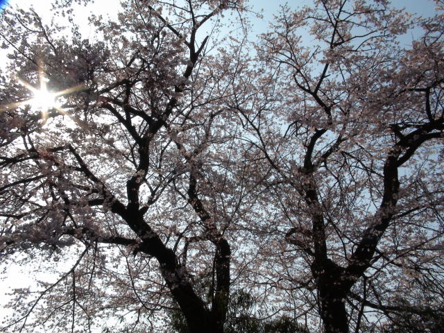 f0231709_2163032.jpg
