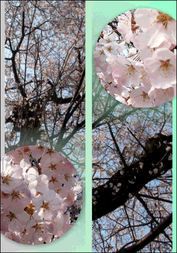 f0231709_2285847.gif