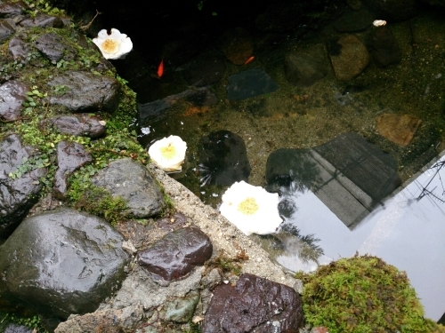 c0352015_19290386.jpg