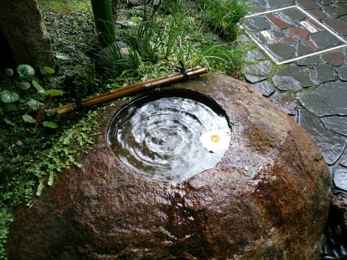 c0352015_19290394.jpg