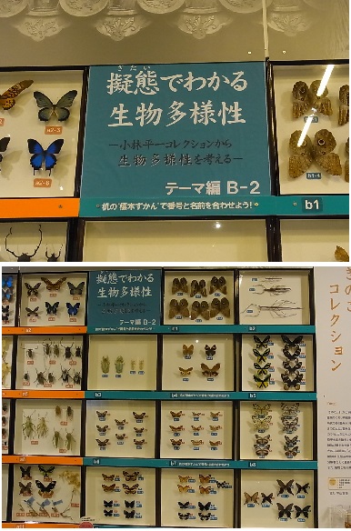 f0191517_14383852.jpg
