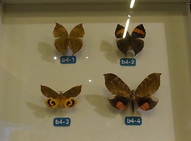 f0191517_1442134.jpg