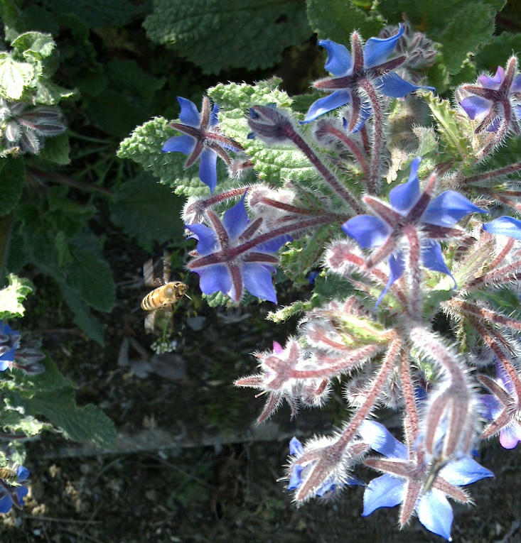c0097620_20404868.jpg