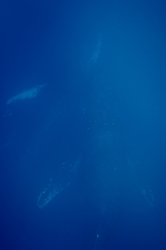 f0206424_10264435.jpg