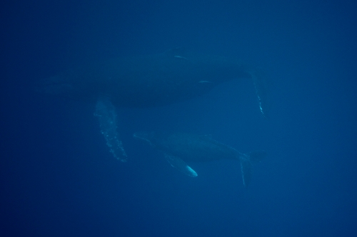 f0206424_10265521.jpg
