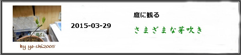 e0033229_2059554.jpg