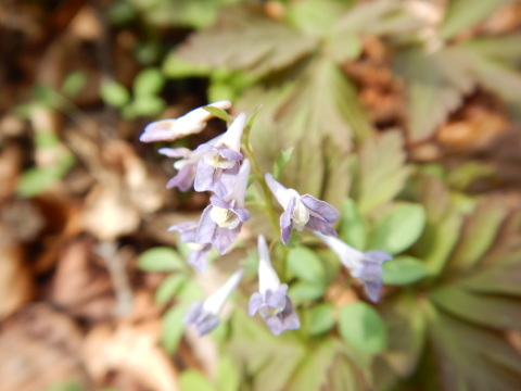 f0118332_00310456.jpg