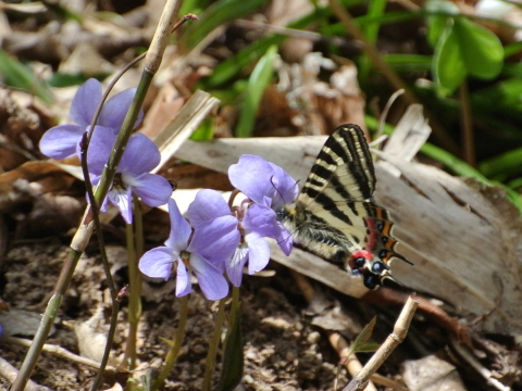 f0118332_00410320.jpg