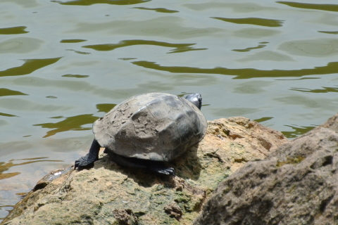 f0118332_00424263.jpg