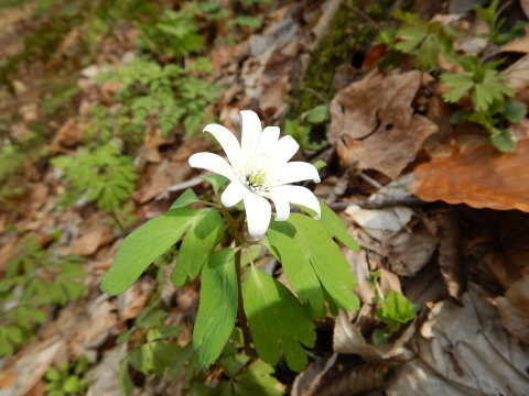 f0118332_00450964.jpg