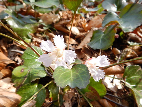 f0118332_00565964.jpg