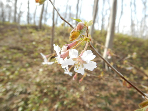 f0118332_00581951.jpg