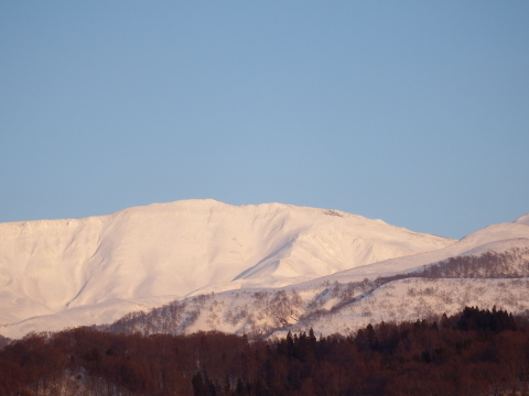 f0118332_11290254.jpg