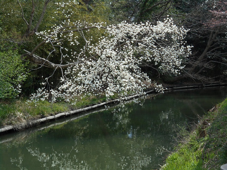 a0310035_19174677.jpg