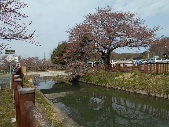 a0310035_1918387.jpg
