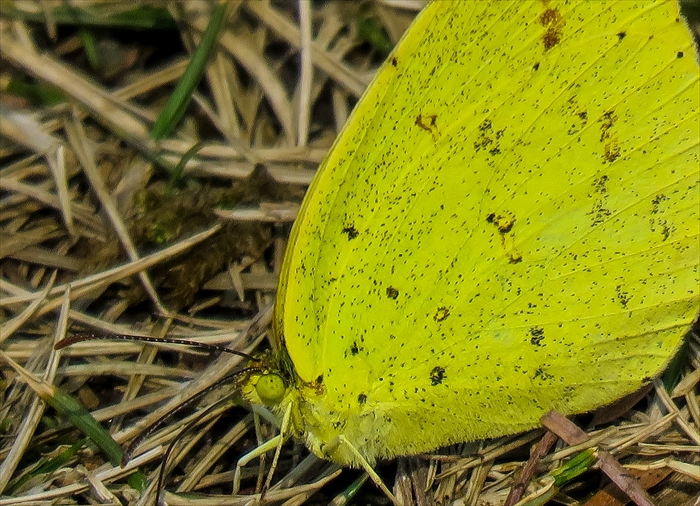 b0242140_17434190.jpg