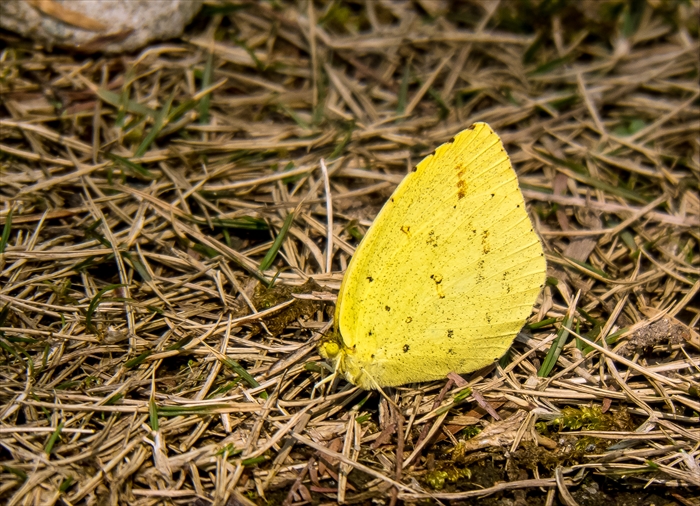 b0242140_1748247.jpg