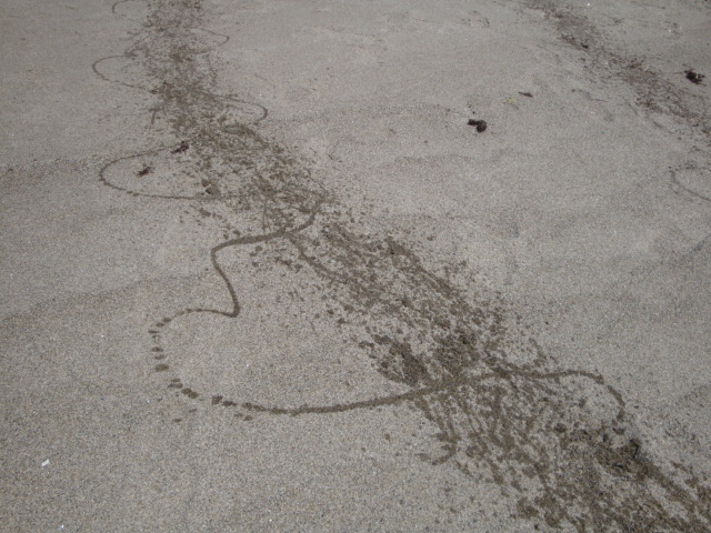 e0158841_12105338.jpg