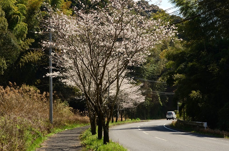 b0288942_12244811.jpg
