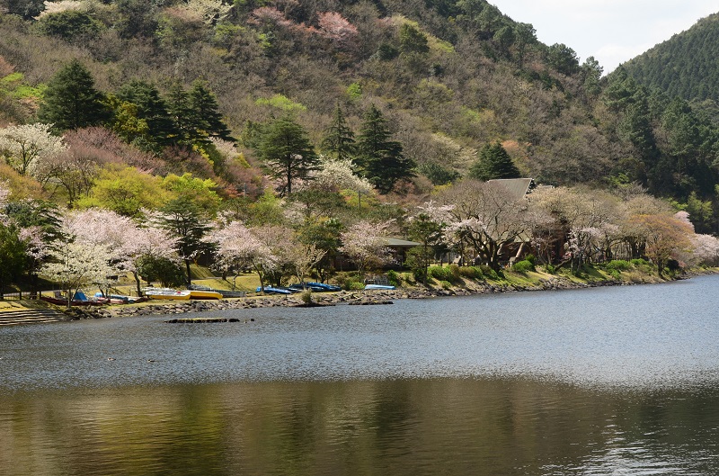 b0288942_12272878.jpg