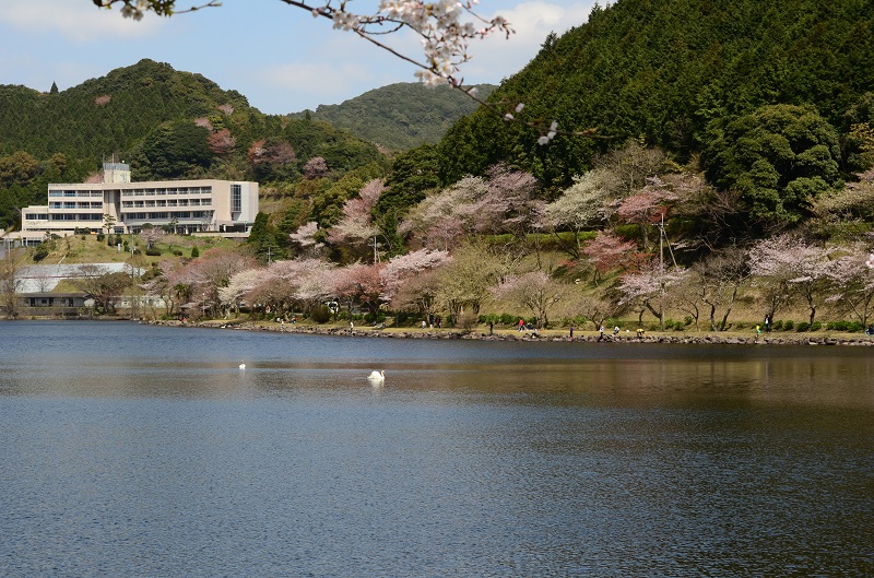 b0288942_1227441.jpg
