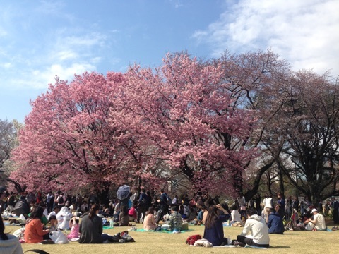 d0240442_09132970.jpg