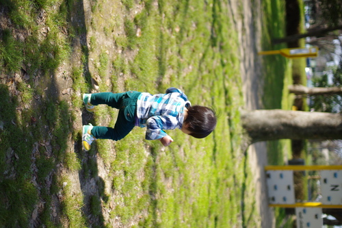 a0299749_21432981.jpg