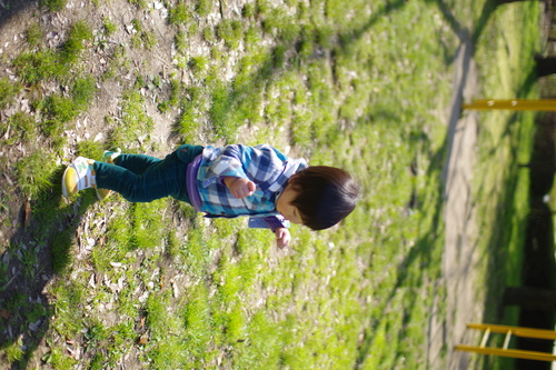 a0299749_21434587.jpg