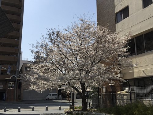 b0158551_16361633.jpg