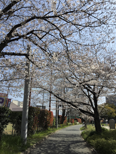 b0158551_16362612.jpg