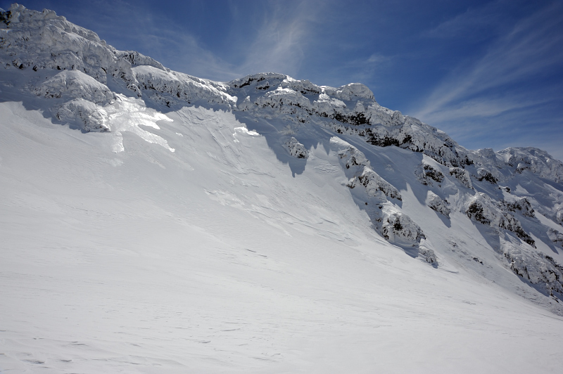 d0169556_13461947.jpg