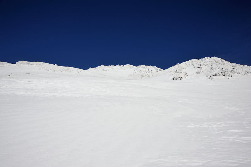 d0169556_13561276.jpg