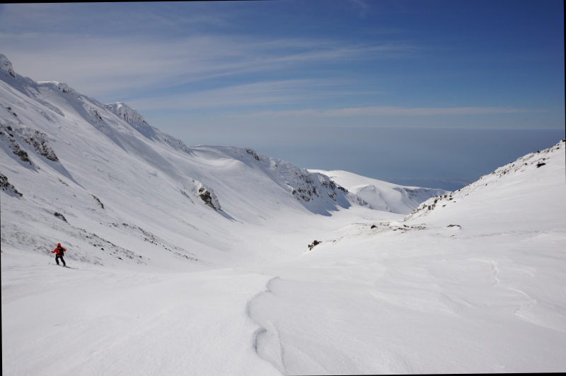 d0169556_13574250.jpg