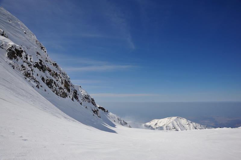 d0169556_13595184.jpg