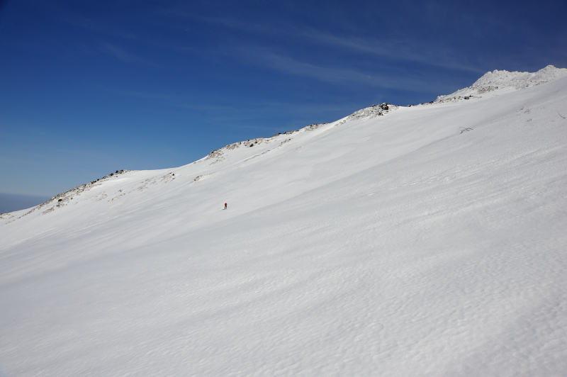 d0169556_1412757.jpg