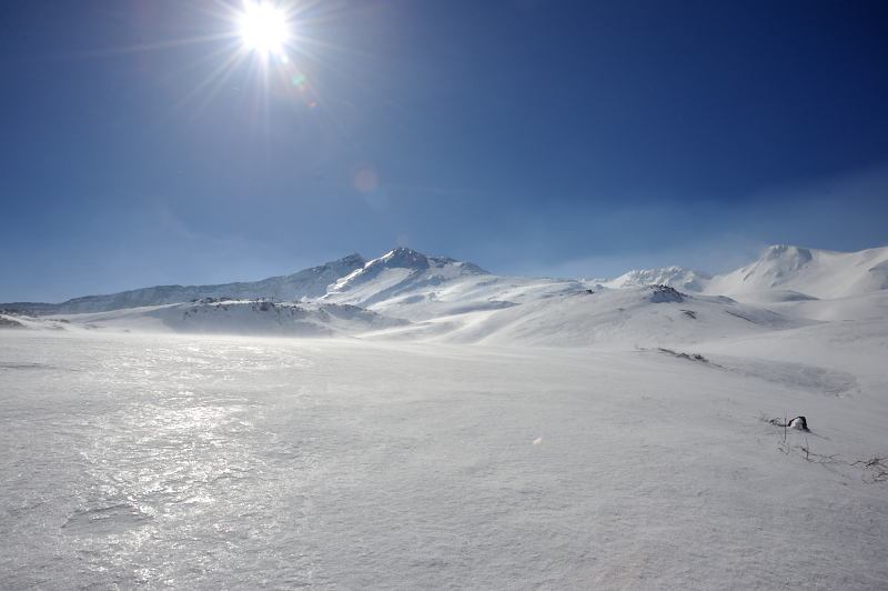 d0169556_9275495.jpg