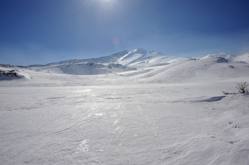 d0169556_930486.jpg
