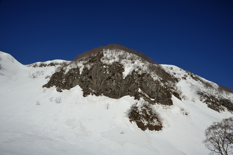d0169556_982690.jpg